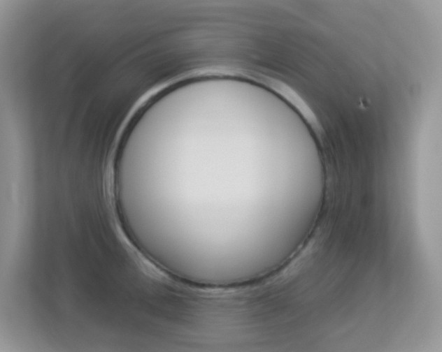 X0000113880996200909241023