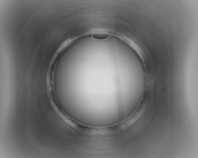 X0000113880997200909241023