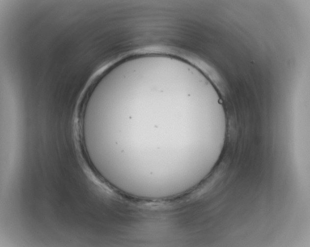 X0000113880998200909241023