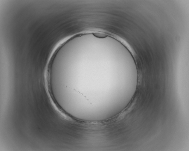 X0000113881003200909241022