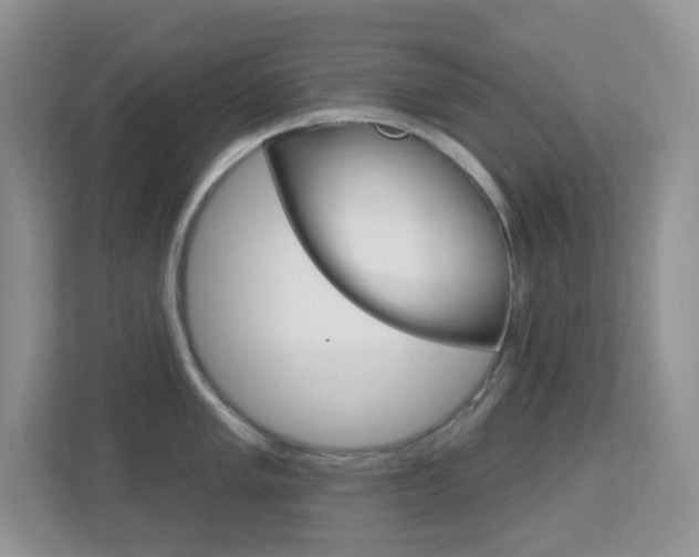 X0000113881005200909241022