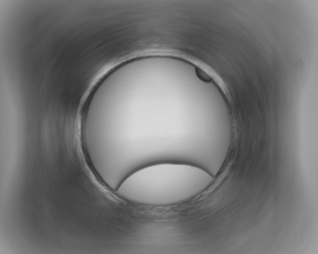 X0000113881006200909241022