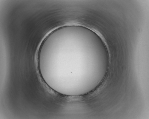 X0000113881008200909241022