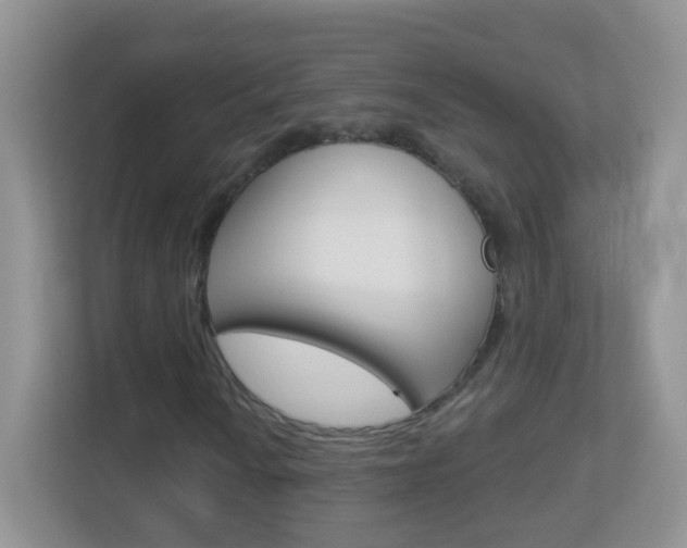 X0000113881010200909241022