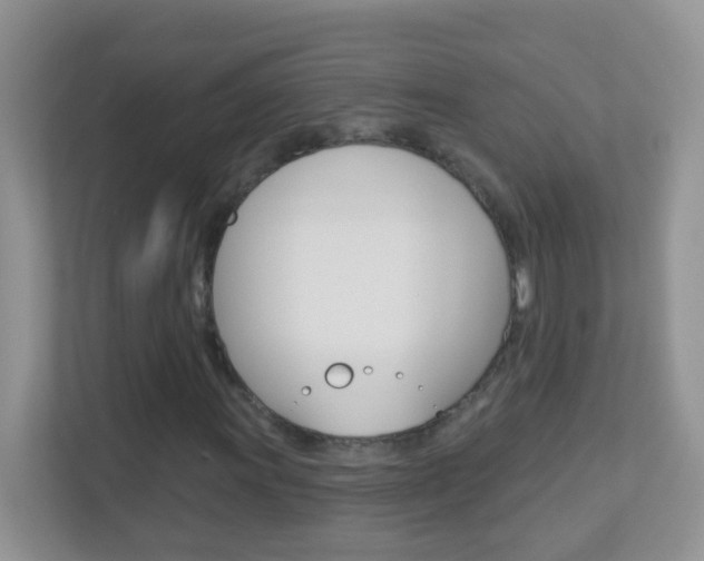 X0000113881011200909241022