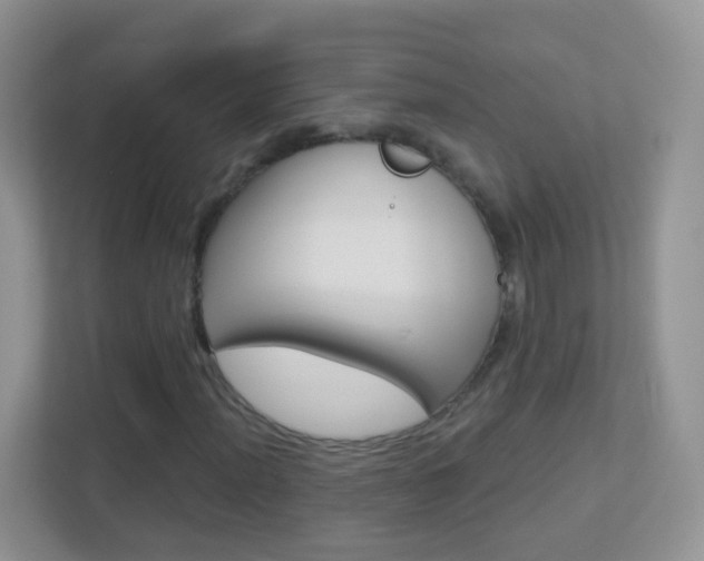 X0000113881012200909241022