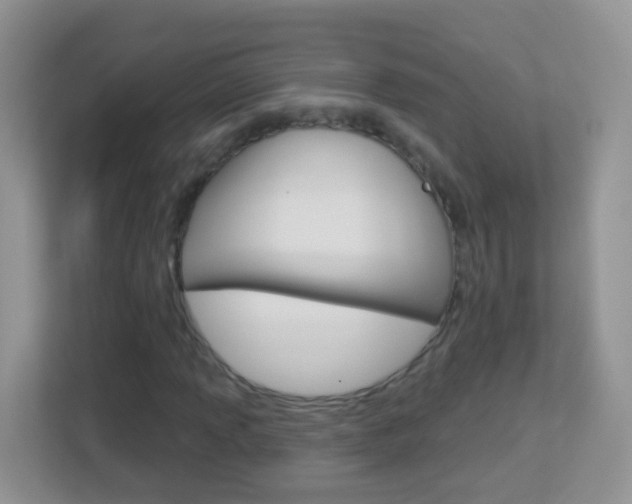 X0000113881013200909241022