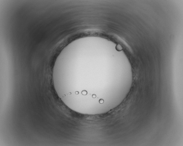 X0000113881015200909241022