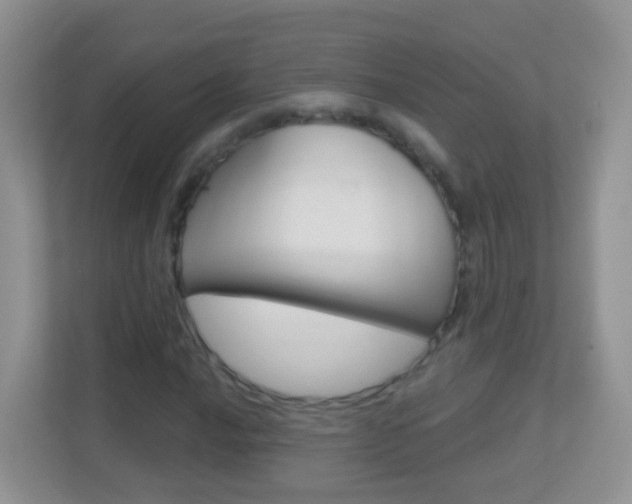 X0000113881016200909241022