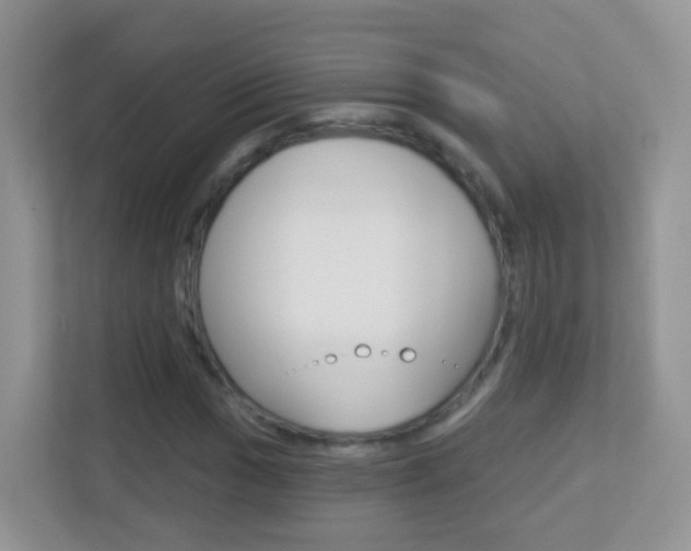 X0000113881017200909241022