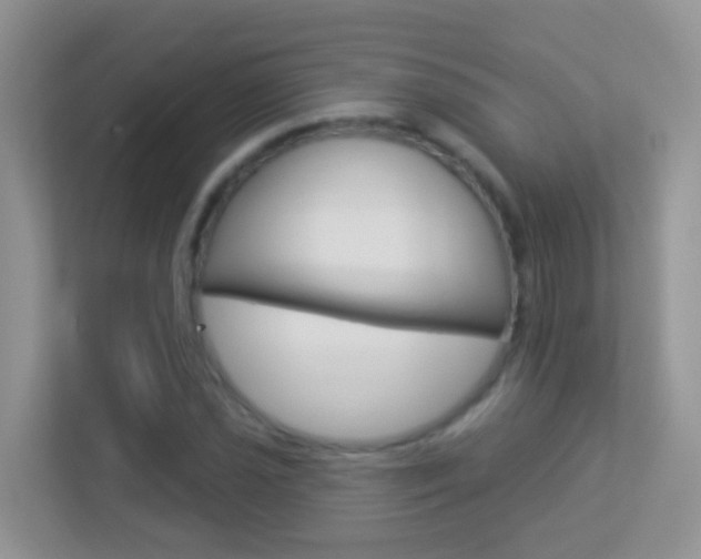 X0000113881021200909241022