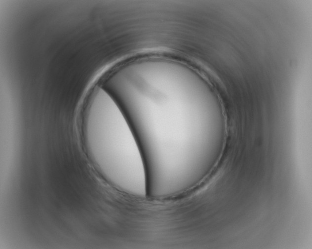 X0000113881022200909241022