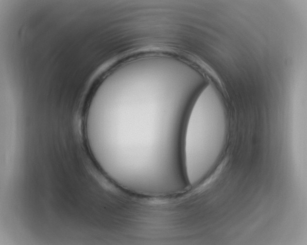 X0000113881029200909241022