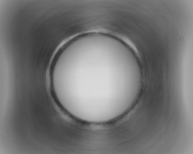 X0000113881032200909241022