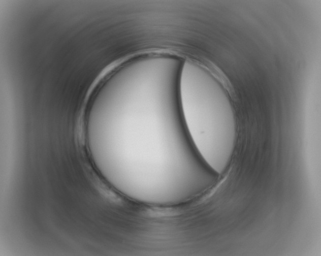 X0000113881036200909241022
