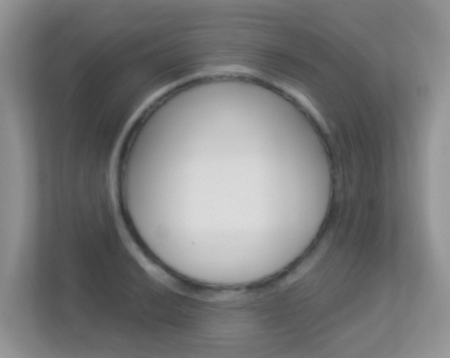 X0000113881038200909241022