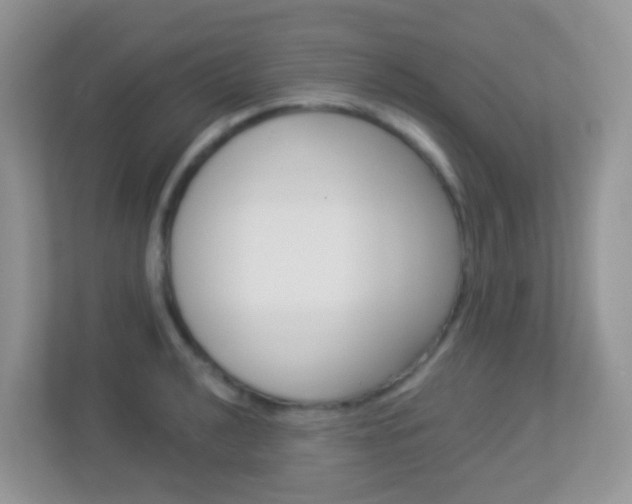 X0000113881040200909241022