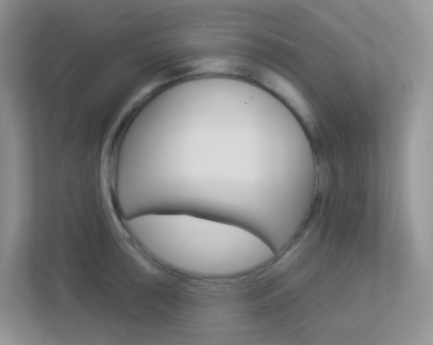 X0000113881043200909241022