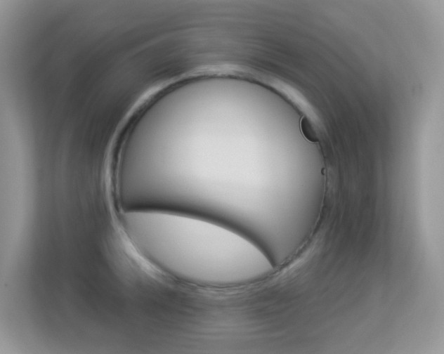 X0000113881046200909241022