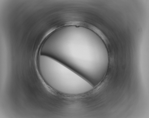 X0000113881050200909241022
