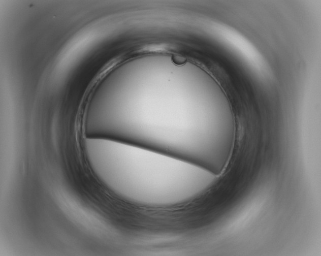 X0000113881052200909241022
