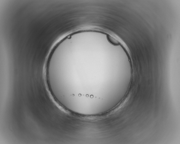 X0000113881053200909241022