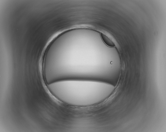 X0000113881054200909241022