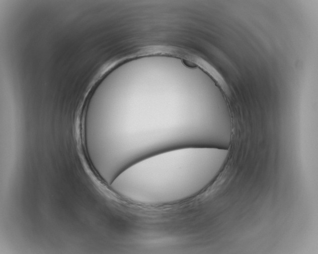 X0000113881055200909241022