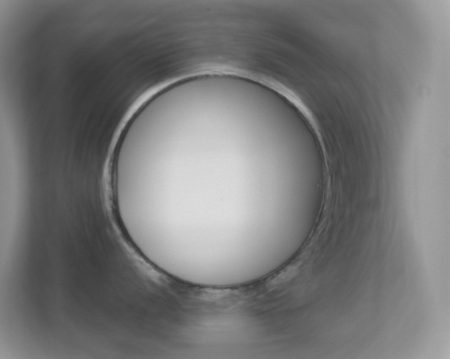X0000113881056200909241022