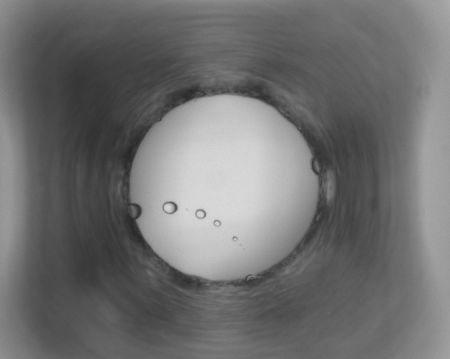 X0000113881059200909241022