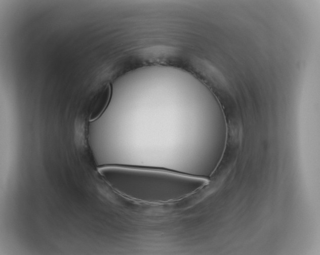 X0000113881060200909241022