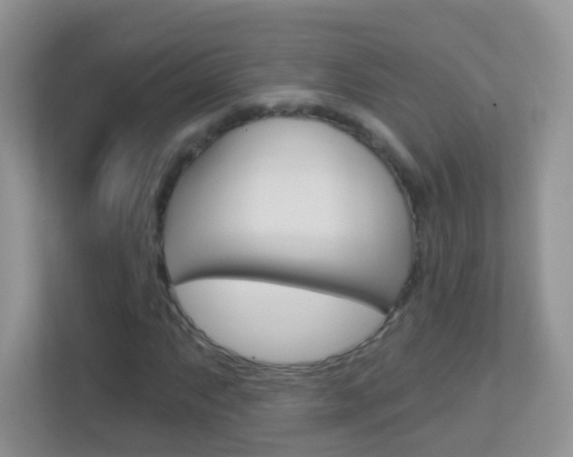 X0000113881063200909241022