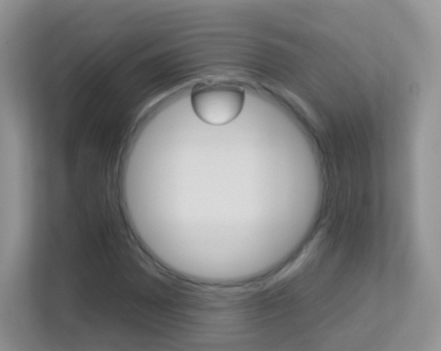 X0000113881065200909241022