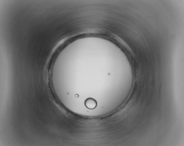 X0000113881067200909241022