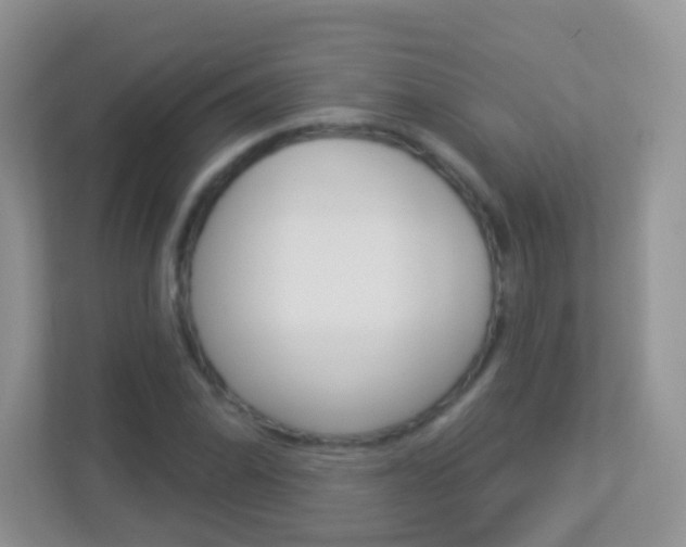 X0000113881070200909241022
