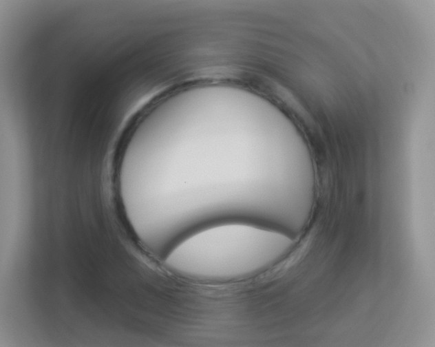 X0000113881071200909241022