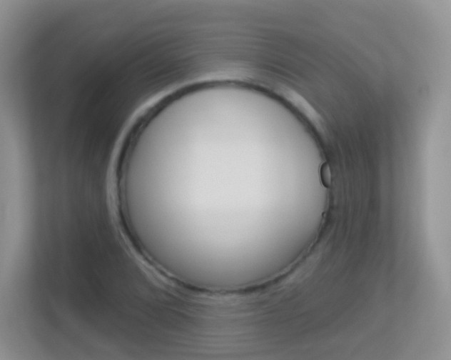 X0000113881072200909241022