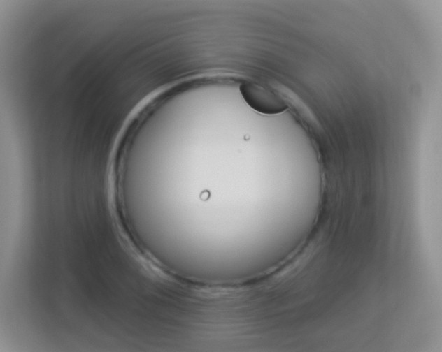 X0000113881076200909241022