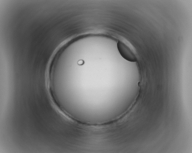 X0000113881080200909241021