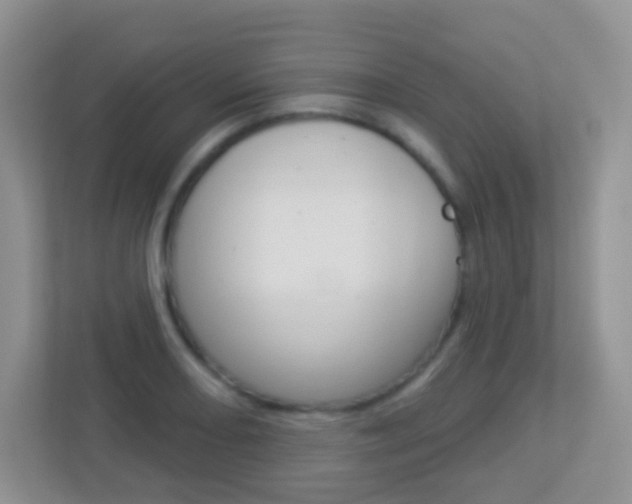 X0000113881082200909241021