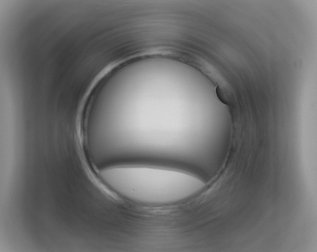 X0000113881084200909241021