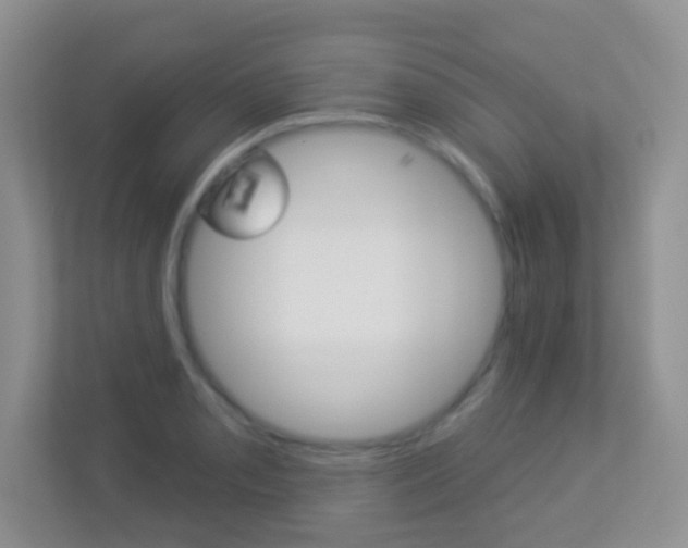 X0000113881085200909241021