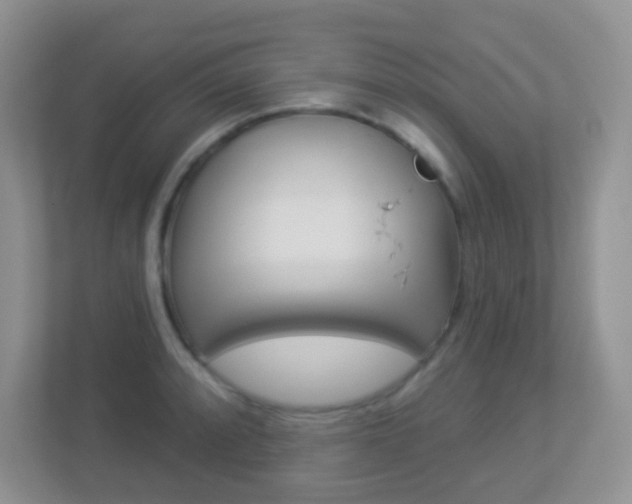 X0000113881088200909241021