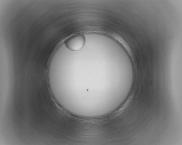 X0000113881089200909241021