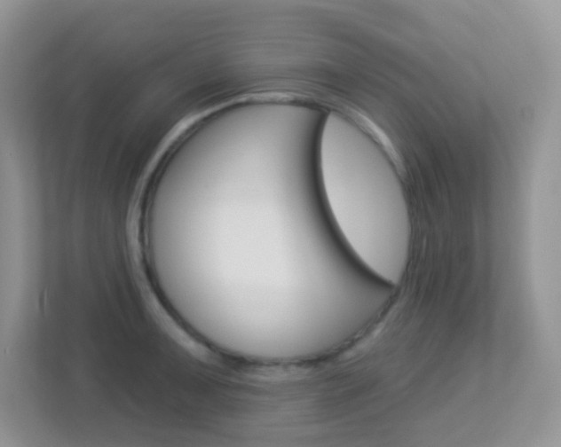 X0000113881091200909241021