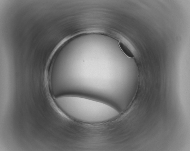 X0000113881092200909241021
