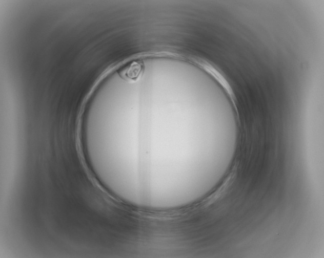 X0000113881093200909241021