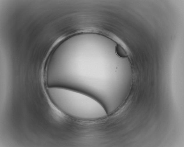 X0000113881095200909241021