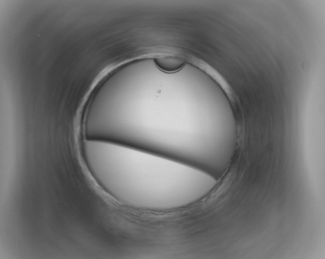 X0000113881099200909241021