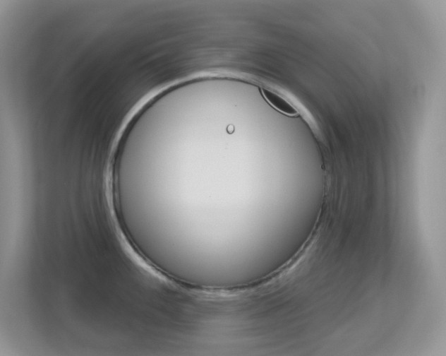 X0000113881100200909241021